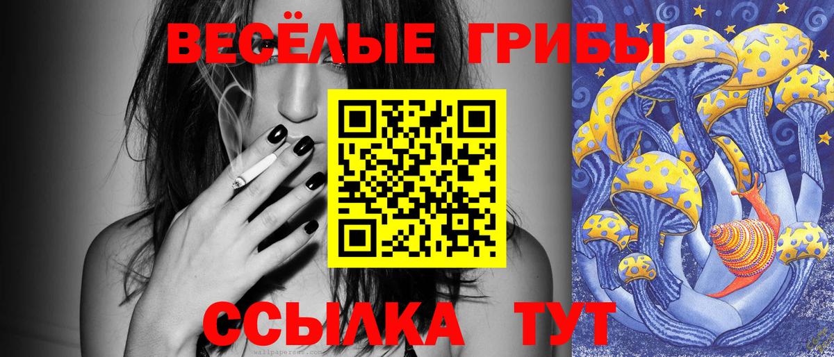 Псилоцибиновые грибы мицелий Кунгур