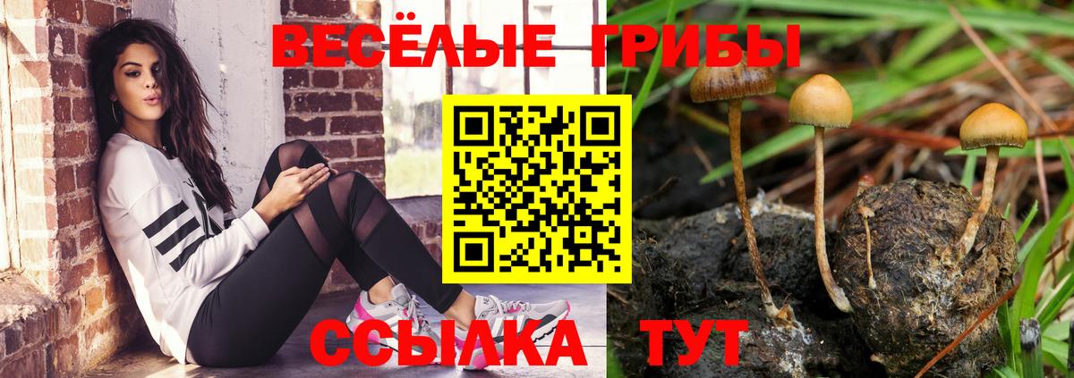 Кунгур  Псилоцибиновые грибы GOLDEN TEACHER  Вход с VPN 